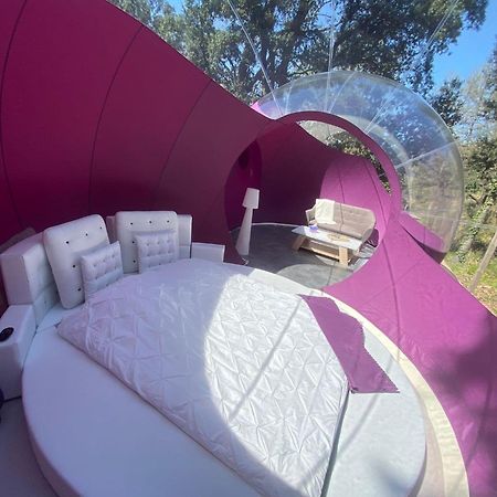 Bed and Breakfast Les Perles Catalanes Vinca Экстерьер фото