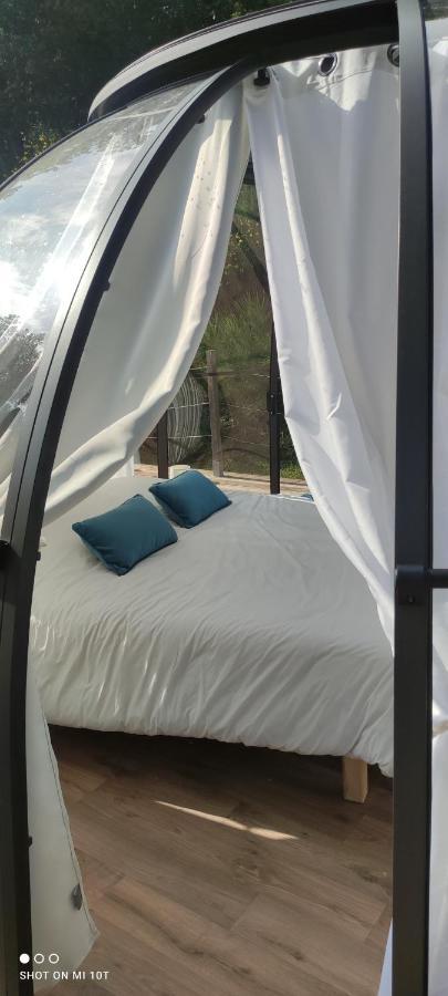 Bed and Breakfast Les Perles Catalanes Vinca Экстерьер фото