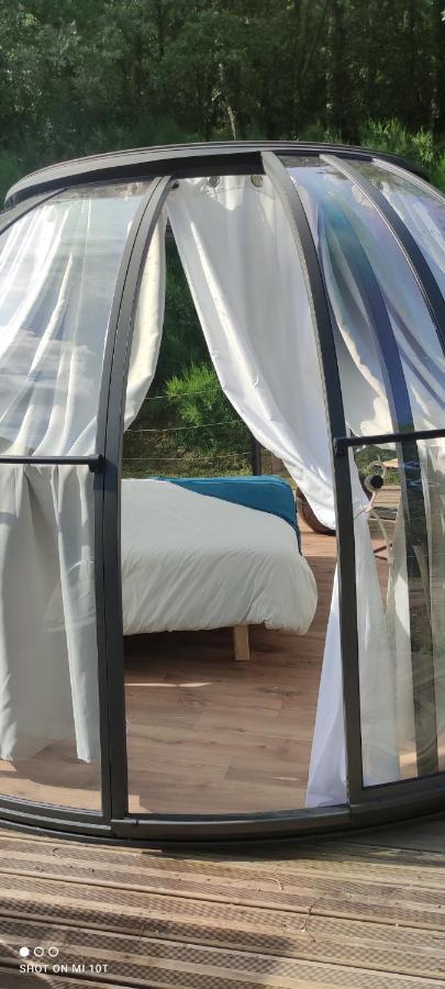 Bed and Breakfast Les Perles Catalanes Vinca Экстерьер фото
